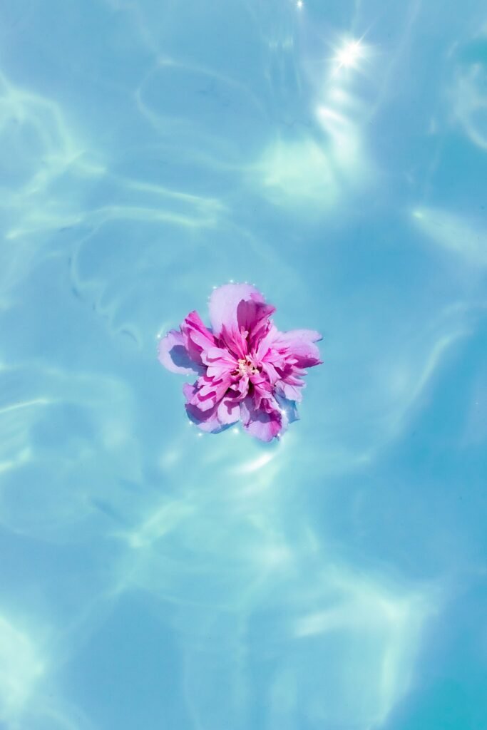 Votre piscine avec SCD Piscine