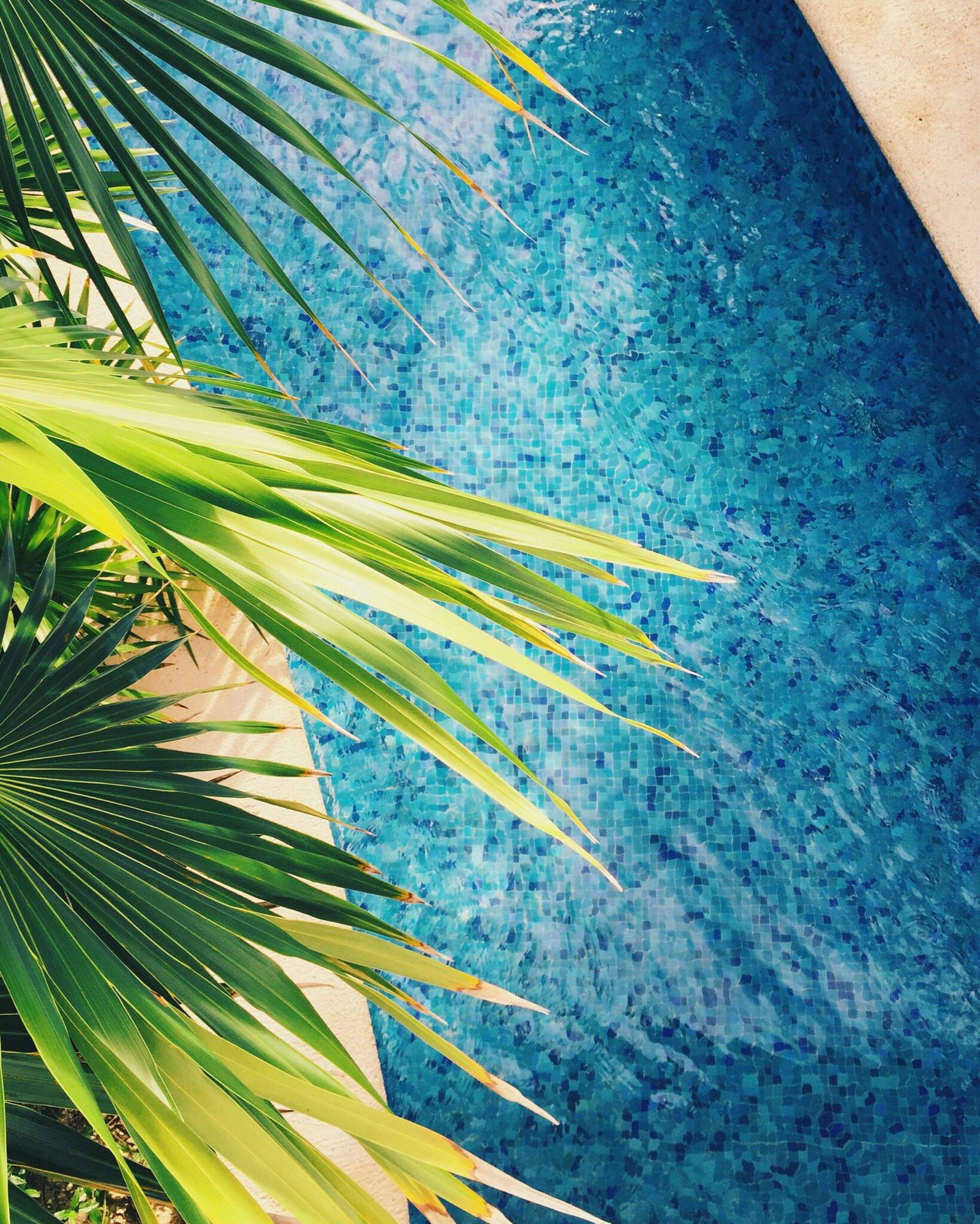 Pose d'un liner carrelé avec SCD Piscine
